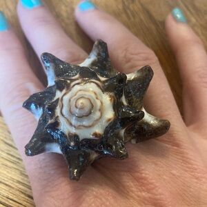 Crab shell rings size 6.5-10
